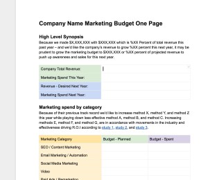 Marketing Budget - One Page template